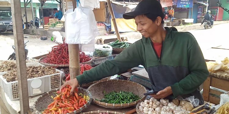 Disperindag Pandeglang Mengaku Tak Berdaya Tanggulangi Kenaikan Harga Cabai Setan