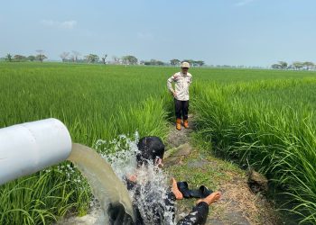Dinas Pertanian Banten Monev Proyek Irpom Kementan di Kota Serang