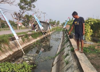 Dampak Kebijakan Buka Tutup, Air Irigasi di Ciruas-Pontang Menyusut