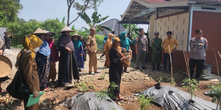 Penilaian LKBA Kabupaten Serang 2024: Inovasi, Andalan Desa Tanjungsari