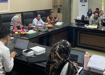 PMA Penyumbang Investasi Terbesar di Banten, Korea Selatan Tertinggi