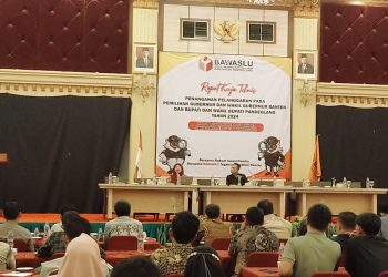 Direktur Perludem Soroti Potensi Pelanggaran Pilkada di Pandeglang