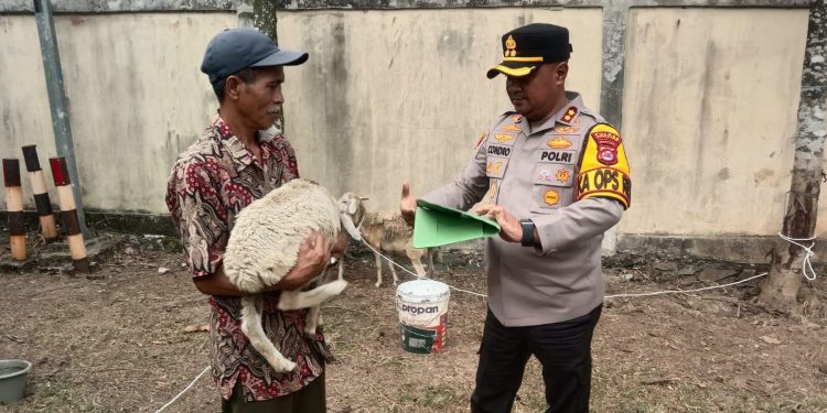 Sempat Hilang Dicuri, Empat Ekor Kambing Milik Anak Yatim Dikembalikan Polres Serang