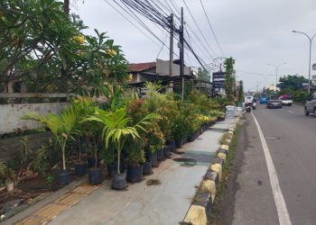 Satpol PP Bakal Tertibkan Pelaku Usaha yang Tempati Trotoar Jalan Protokol Cilegon