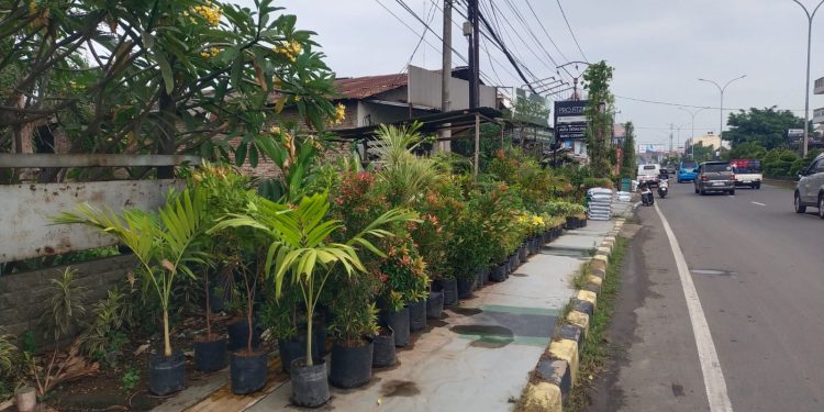 Satpol PP Bakal Tertibkan Pelaku Usaha yang Tempati Trotoar Jalan Protokol Cilegon