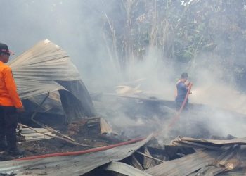 Peternakan Ayam di Cinangka Terbakar, Kerugian Mencapai Rp300 Juta