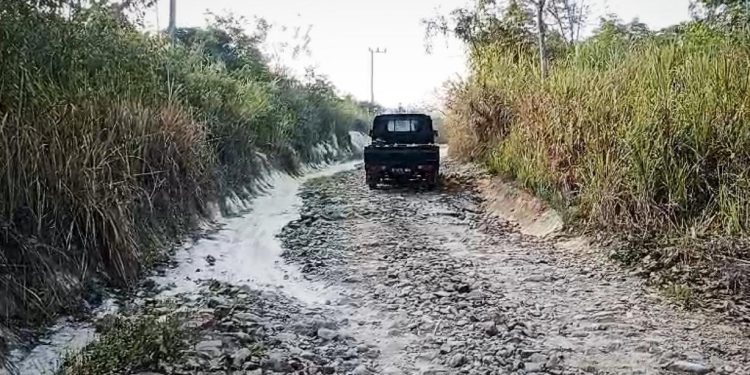 Jalan Rusak Bertahun-Tahun, Warga Desa Jayamanik Minta PTPN VIII Bertangung Jawab
