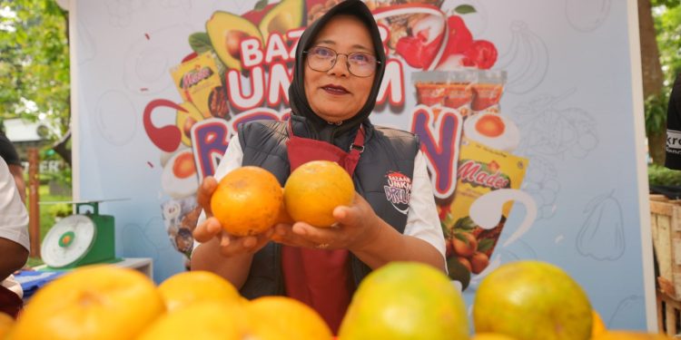 Usaha Klaster Jeruk Ini Makin Berkembang Berkat Pemberdayaan BRI