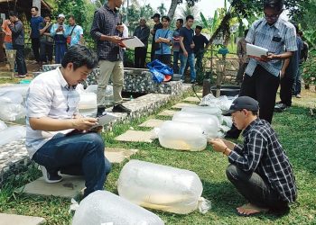 Desa Bandung Gelar Kontes Ikan Mas Sinyonya Nusantara