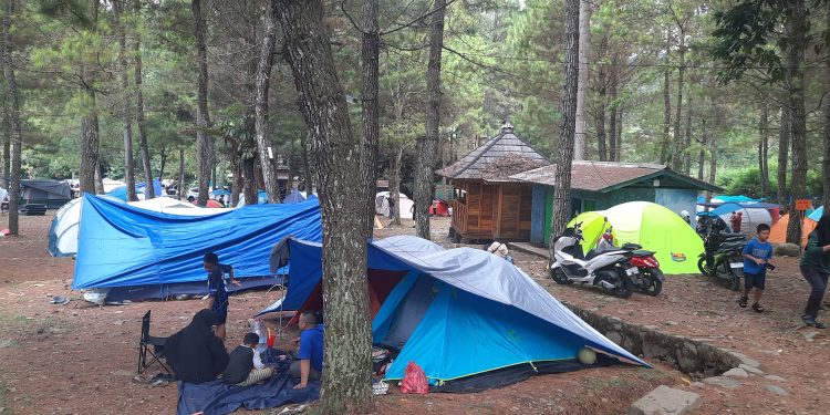 Tempat Wisata Curug Cipamingkis, Bogor Dipenuhi Keluarga Pecinta Kemping Ceria