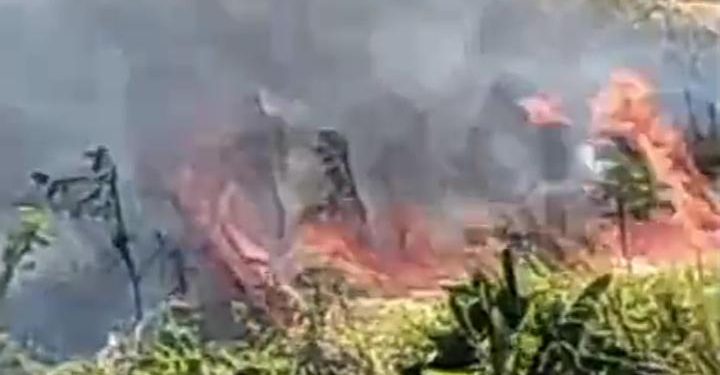 Diduga Gara-gara Buang Puntung Rokok Sembarangan, Lahan di Pandeglang Terbakar