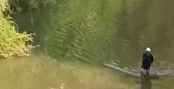 Ribuan Ikan Mati, DLH Lebak Tunggu Hasil Uji Lab Air Sungai Ciujung