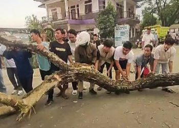 Aksi Anggota DPRD Lebak Bantu Warga Singkirkan Batang Pohon Tumbang