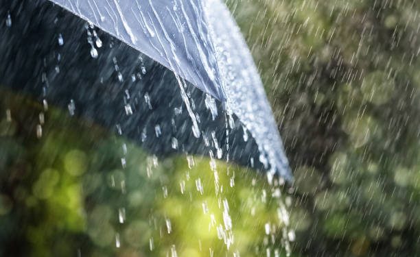 Kemenkes Bagikan Tips Jaga Kesehatan dan Cegah Penyakit di Musim Hujan