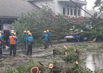 Perbaiki Kabel Rusak, Mobil PLN di Lebak Malah Tertimpa Pohon