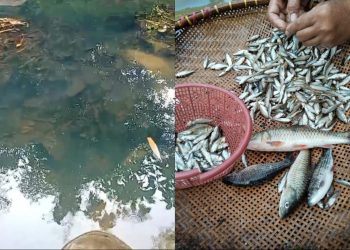 Sungai Ciujung di Lebak Diduga Tercemar Limbah Pabrik