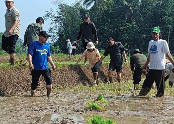 Kemarau, Petani di Lebak Tetap Bisa Tanam