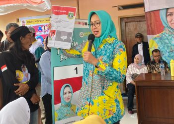 Mau Dijadikan Kota Emas, Airin Bakal Lakukan Reformasi Perizinan di Kota Serang