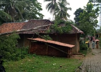 Tertimpa Pohon Albasiah, Satu Rumah Warga Pandeglang Rusak Berat