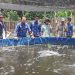 Tanah Bengkok di Sukadalem Dimanfaatkan untuk Budidaya Ikan Nila