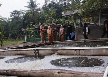 Dinas Perikanan Pandeglang Genjot Produksi Ikan Air Tawar, Target 27.900 Ton Tahun Ini
