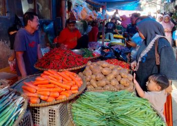 Harga Sayuran di Pasar Rangkasbitung Serba Naik, Warga Mengeluh