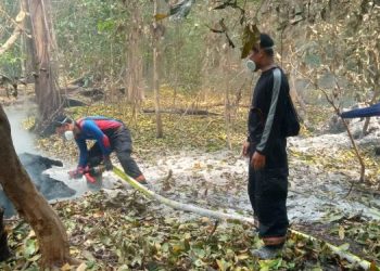 12 Hari Tangani Kebakaran di Pulau Deli Pandeglang, Baru 9 Titik Dipadamkan
