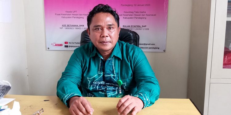 Realisasi PAD Layanan Puskeswan Pandeglang Baru Capai 50 Persen