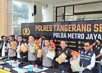 Polres Tangsel Ungkap Peredaran Narkoba Antar Pulau, 642 Kilogram Ganja Diamankan