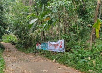 Pemasangan Alat Peraga Kampanye Cagub Asal-asalan