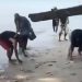 Heboh Ikan Naik ke Pantai, BPBDPK Pandeglang: Bukan Pertanda Bencana