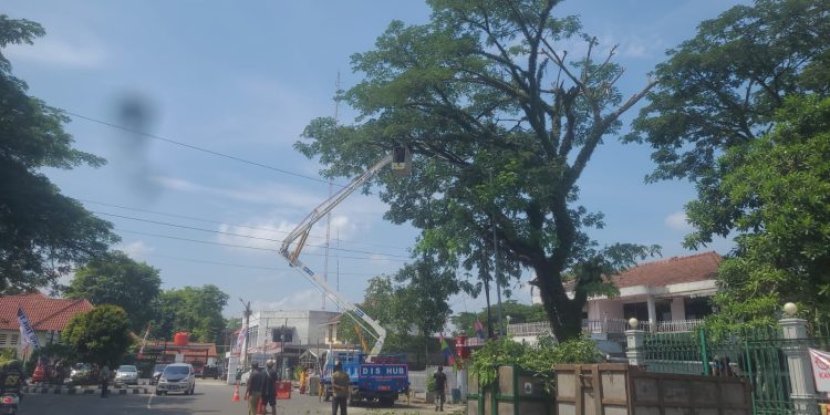 BPBD dan Dishub Pangkas Dahan Pohon di Jalan Perkotaan
