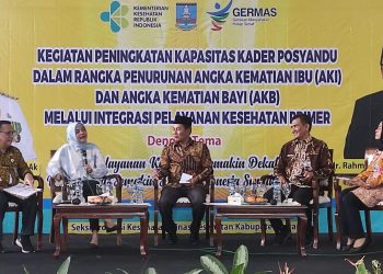 Kasus Kematian Ibu dan Bayi di Kabupaten Serang Turun