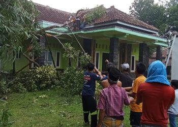 Dua Desa di Kecamatan Cikeusal Kabupaten Serang Terdampak Angin Kencang