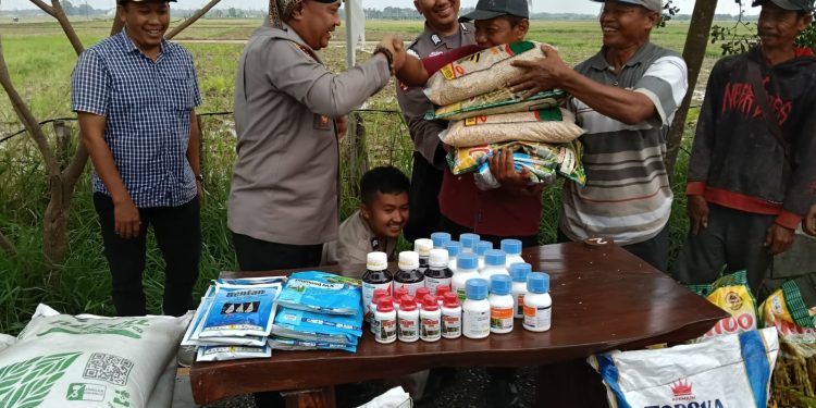Polres Serang Salurkan Bantuan Benih Padi dan Pupuk kepada Kelompok Tani di Desa Koper