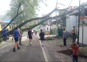 Pohon Tumbang Rusak Rumah dan Ganggu Lalu Lintas di Jalan Jenderal Sudirman Lebak