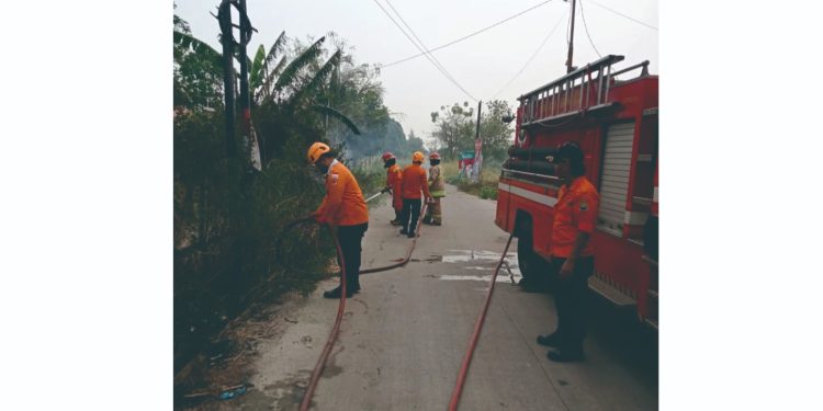 Diduga Akibat Pembakaran Sampah, BPBD Cilegon Bantu Padamkan Karhutla di Gedong Dalem