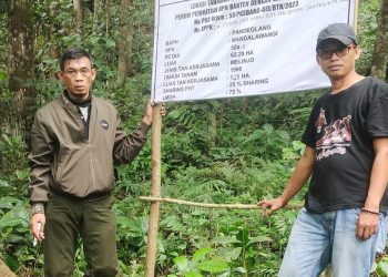 1.212 Ribu KK di Pandeglang Memanfaatkan Lahan Perhutani untuk Garap Kebun Kopi