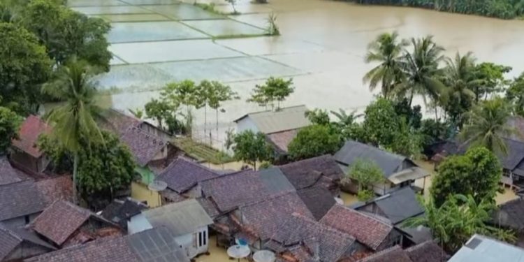 Ribuan Hektare Tanaman Padi di Pandeglang Terendam, Petani Bakal Rugi Ratusan Miliar