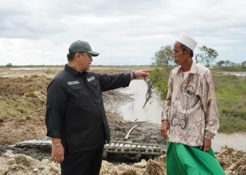 Ombudsman Minta Pemerintah Transparan Soal Pembangunan PSN PIK 2