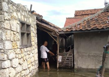 Banjir Rob, 16 Rumah Rusak