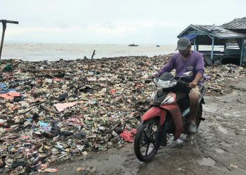 Duh! Pantai Teluk Kembali Dipenuhi Sampah