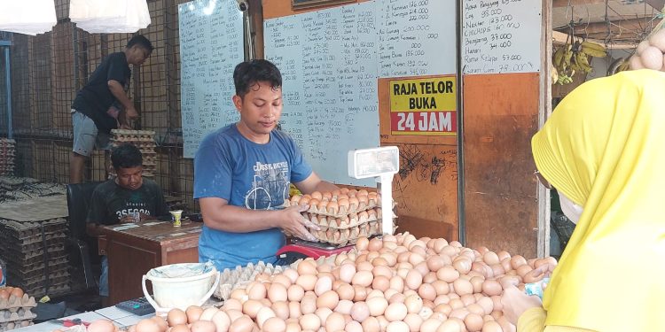 Harga Telur Ayam di Kota Serang Melonjak, Tembus Rp 30 Ribu per Kilogram