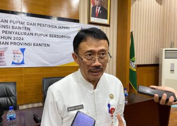 Beralih Fungsi, Sawah di Banten Menyusut 9.000 Hektare