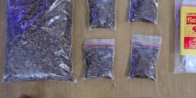Polda Banten Tangkap Pengedar Tembakau Gorila di Cikupa Tangerang