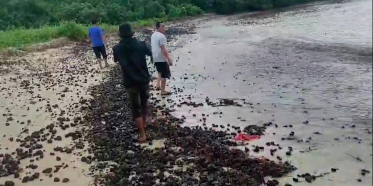 Pesisir Pantai Pulau Popole Pandeglang Tercemar Batu Bara