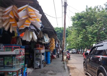 Relokasi PKL Taman Sari, Royal dan Jalan Diponegoro, Pemkot Serang: Bertahap