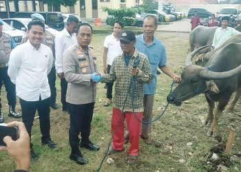 Komplotan Maling Kerbau Ditangkap Polres Pandeglang