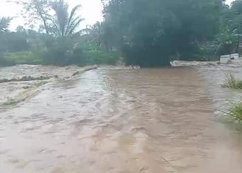 Jembatan Hingga Sawah Warga di Mancak Terendam Banjir 
