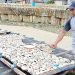Pembuat Ikan Asin di Pandeglang Keluhkan Kelangkaan Bahan Baku, Dampak Cuaca
